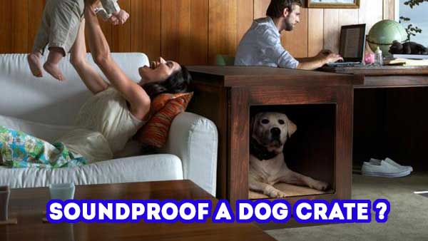 How To Soundproof A Dog Crate: 5 Things That Really Work